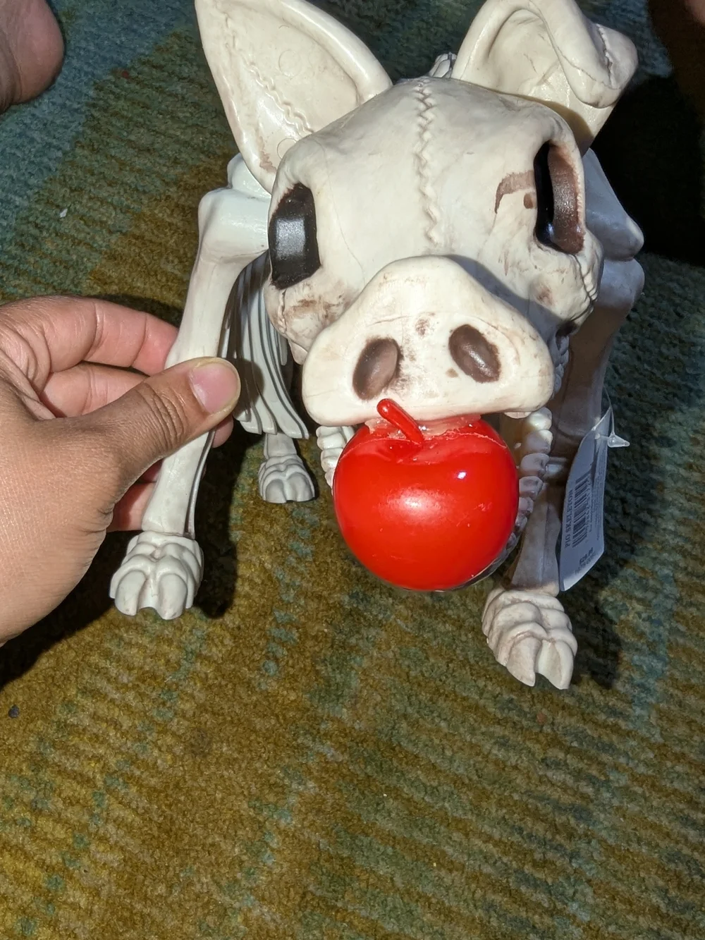 Decorative Reptile Skeleton Dog Toy - Cream with Red Ball + Rat And 2 Spiders